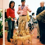 Exposições 2003
