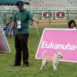 Exposições 2009