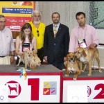 Eventos