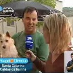 Vídeos